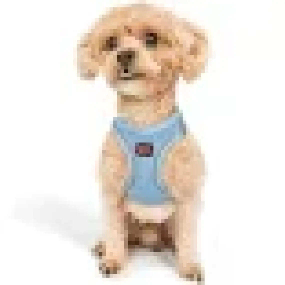 Tailpetz Air-Mesh Harness Köpek Göğüs Tasması 3XSmall Mavi