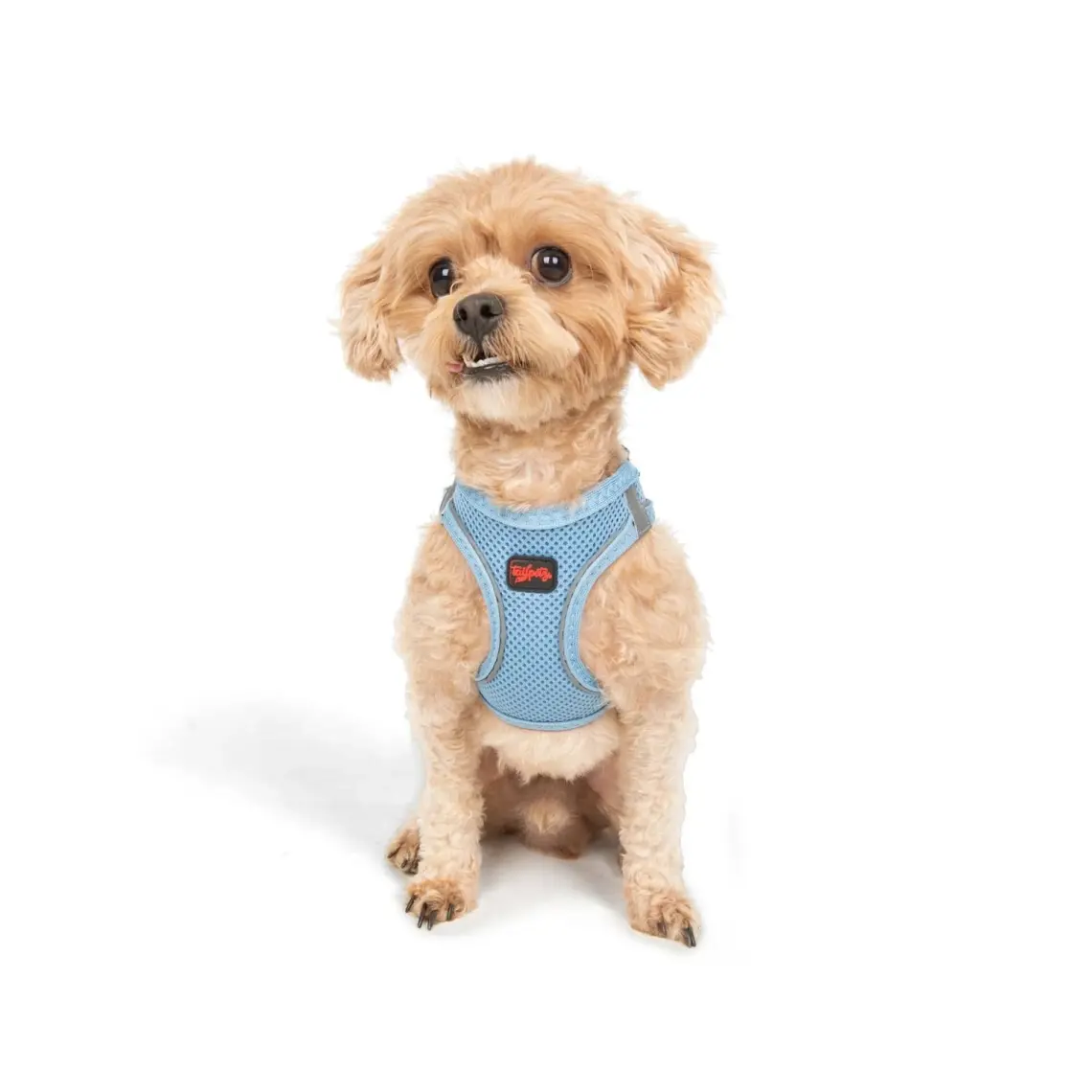 Tailpetz Air-Mesh Harness Köpek Göğüs Tasması 3XSmall Mavi
