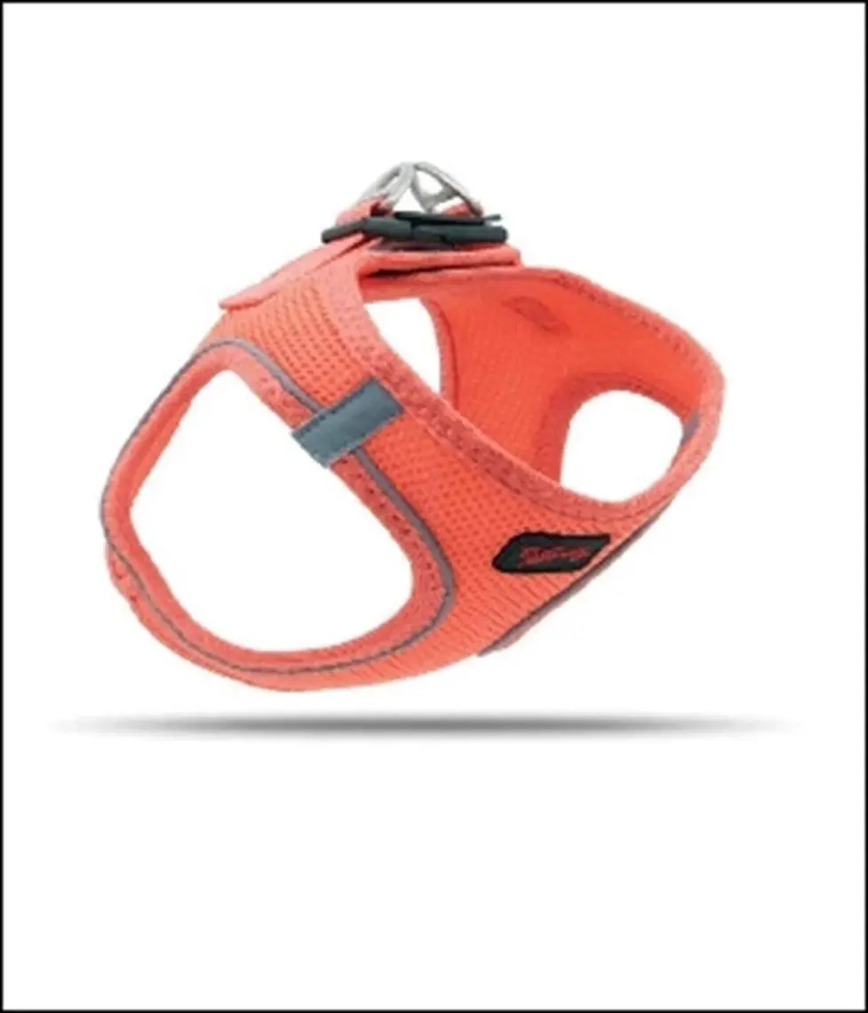 Tailpetz Air-Mesh Harness Köpek Göğüs Tasması 3XSmall Neo-Pembe