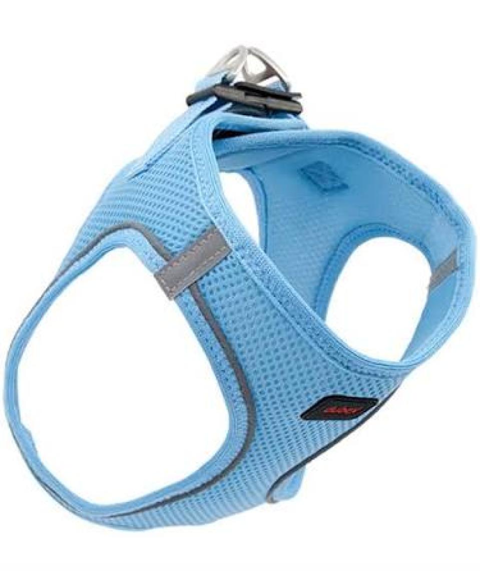 Tailpetz Air-Mesh Harness Köpek Göğüs Tasması 3XSmall Mavi