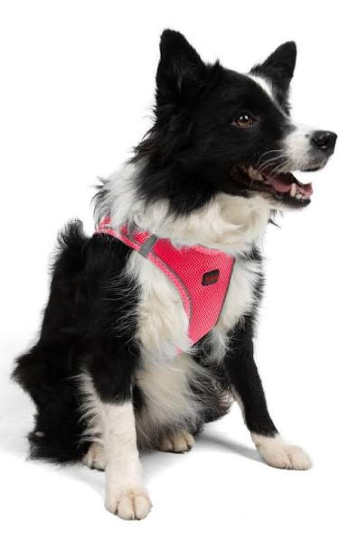 Tailpetz Air-Mesh Harness Köpek Göğüs Tasması XLarge Neo-Pembe