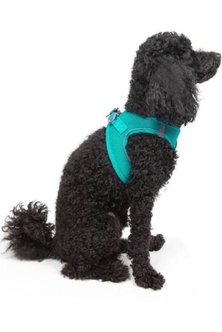 Tailpetz Air-Mesh Harness Köpek Göğüs Tasması 3XSmall Mavi