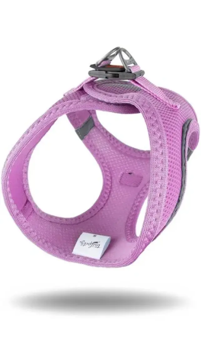 Tailpetz Air-Mesh Harness Köpek Göğüs Tasması 3XSmall Mavi