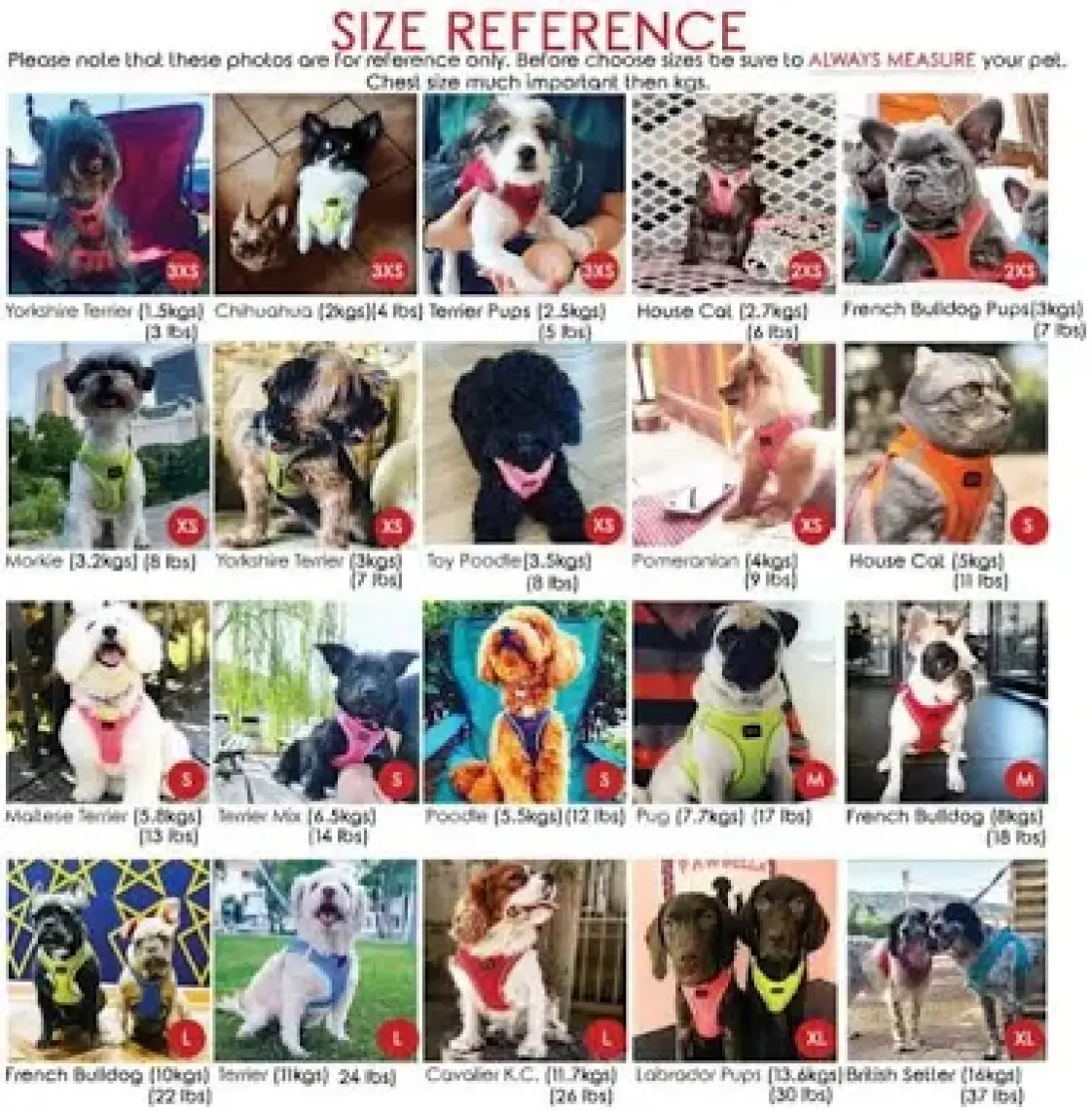 Tailpetz Air-Mesh Harness Köpek Göğüs Tasması 3XSmall Mavi