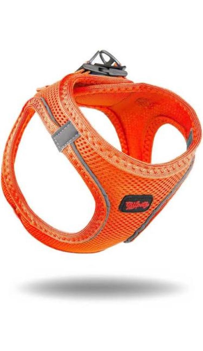 Tailpetz Air-Mesh Harness Köpek Göğüs Tasması 3XSmall Mavi