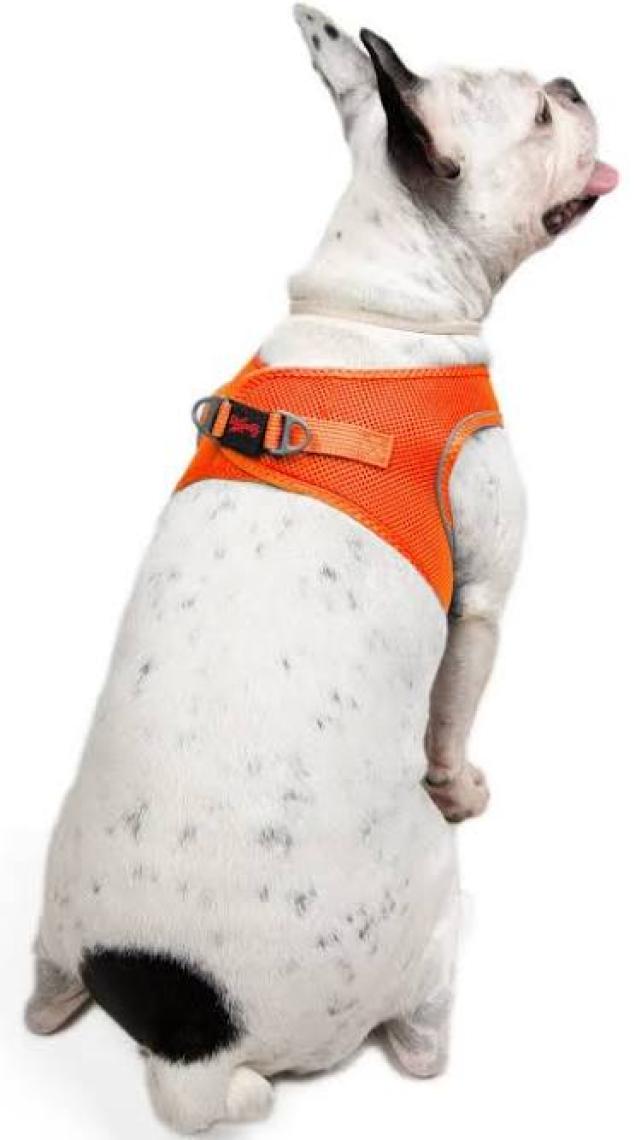 Tailpetz Air-Mesh Harness Köpek Göğüs Tasması 3XSmall Mavi