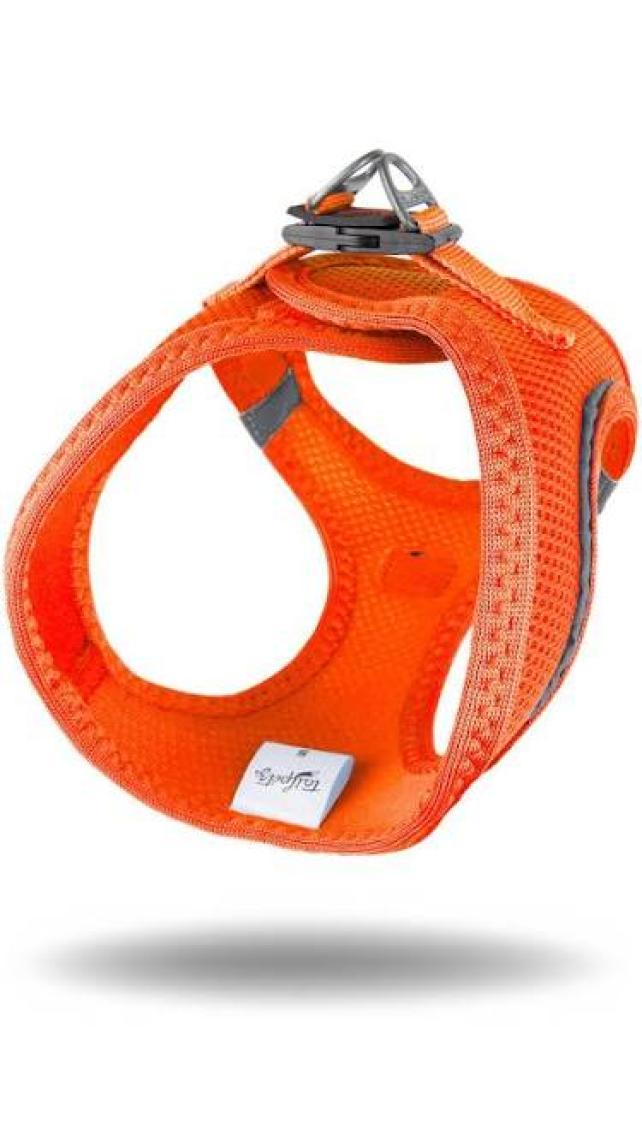 Tailpetz Air-Mesh Harness Köpek Göğüs Tasması 3XSmall Mavi