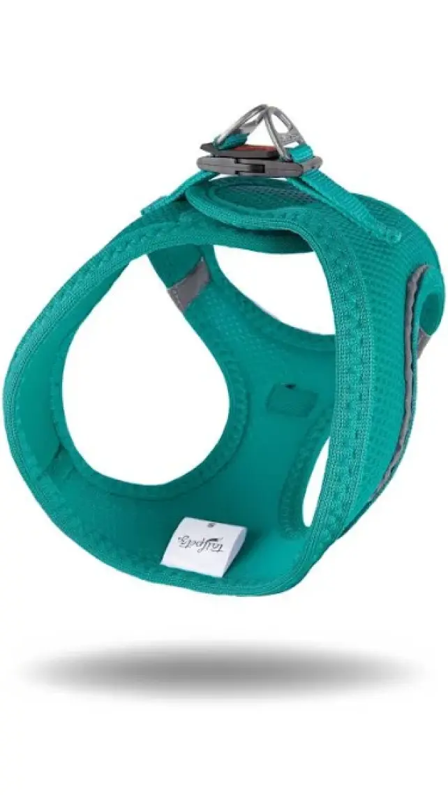 Tailpetz Air-mesh Harness Köpek Göğüs Tasması Yeşil