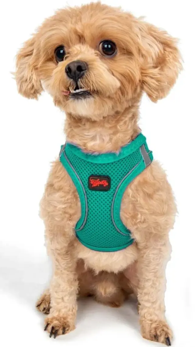 Tailpetz Air-mesh Harness Köpek Göğüs Tasması Yeşil
