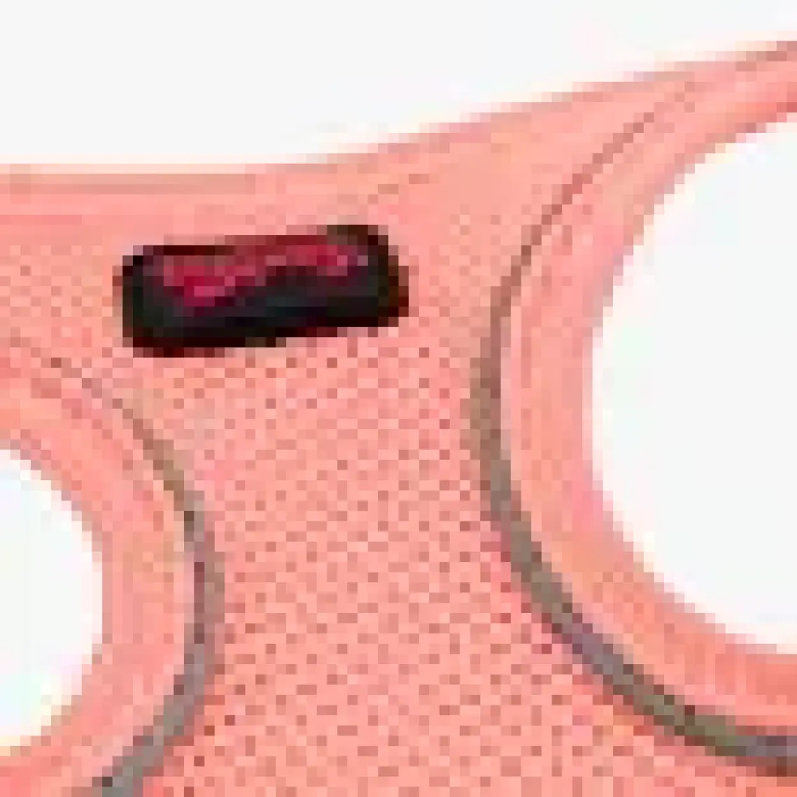 Tailpetz Air-Mesh Harness Köpek Göğüs Tasması 3XSmall Mavi