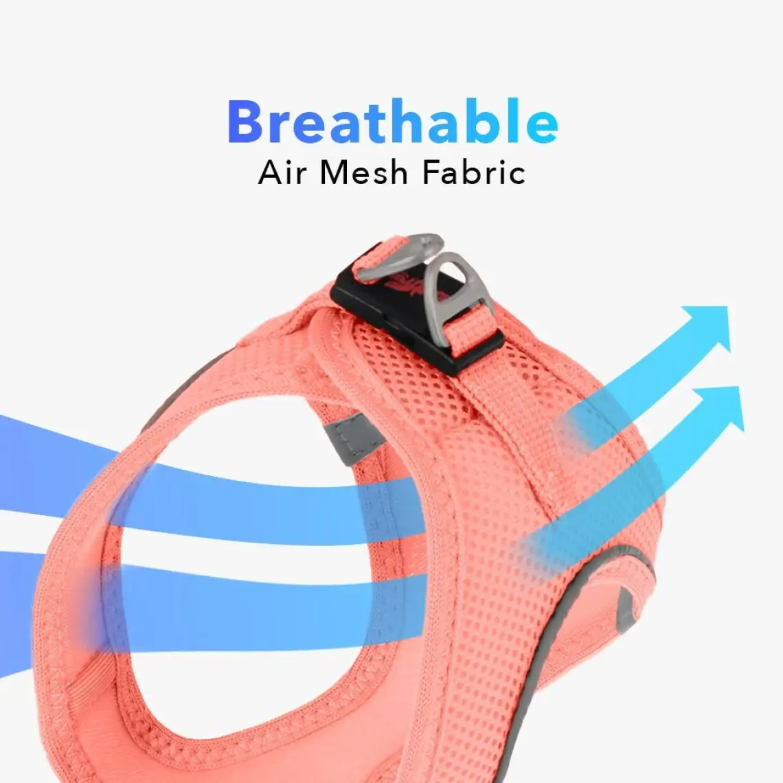 Tailpetz Air-Mesh Harness Köpek Göğüs Tasması 3XSmall Mavi