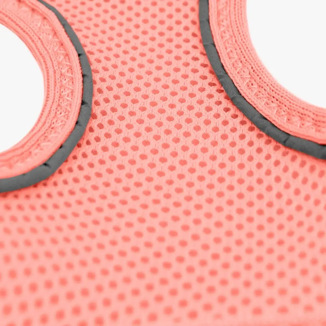 Tailpetz Air-Mesh Harness Köpek Göğüs Tasması 3XSmall Mavi