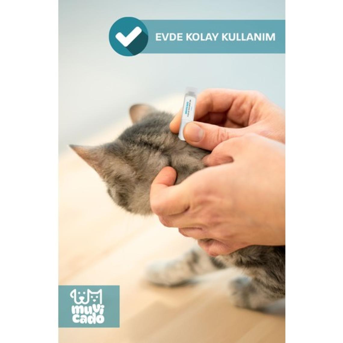 Kedi Köpek Dış Parazit Ense Deri Damlası - Bit Kene Pire Deri Bakımı Bitkisel Damla 4x1 ml ( Köpek ve Kedi İç Dış Parazit Damlası Harici Kullanım İçindir)