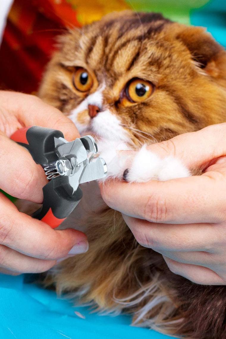 Wf Çelik Uçlu Kırmızı Kedi Köpek Büyük Tırnak Makası Cin316kr