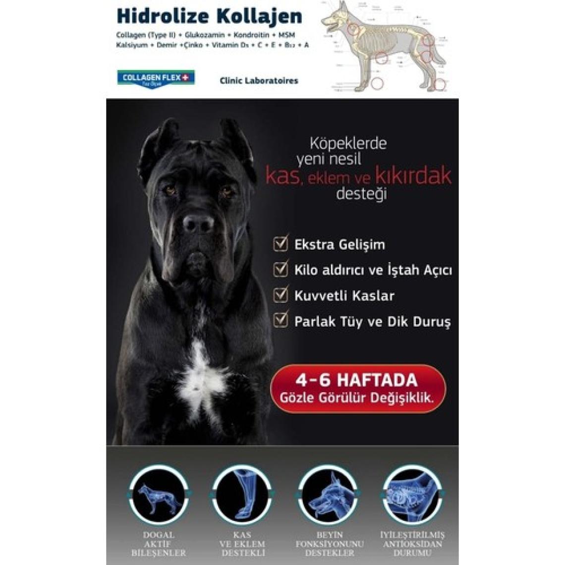 Collagen Flex Toz 400 gr 1 Adet Köpekler Için Kas, Eklem,kıkırdak ve Kemik Desteği Gıda Takviyesi