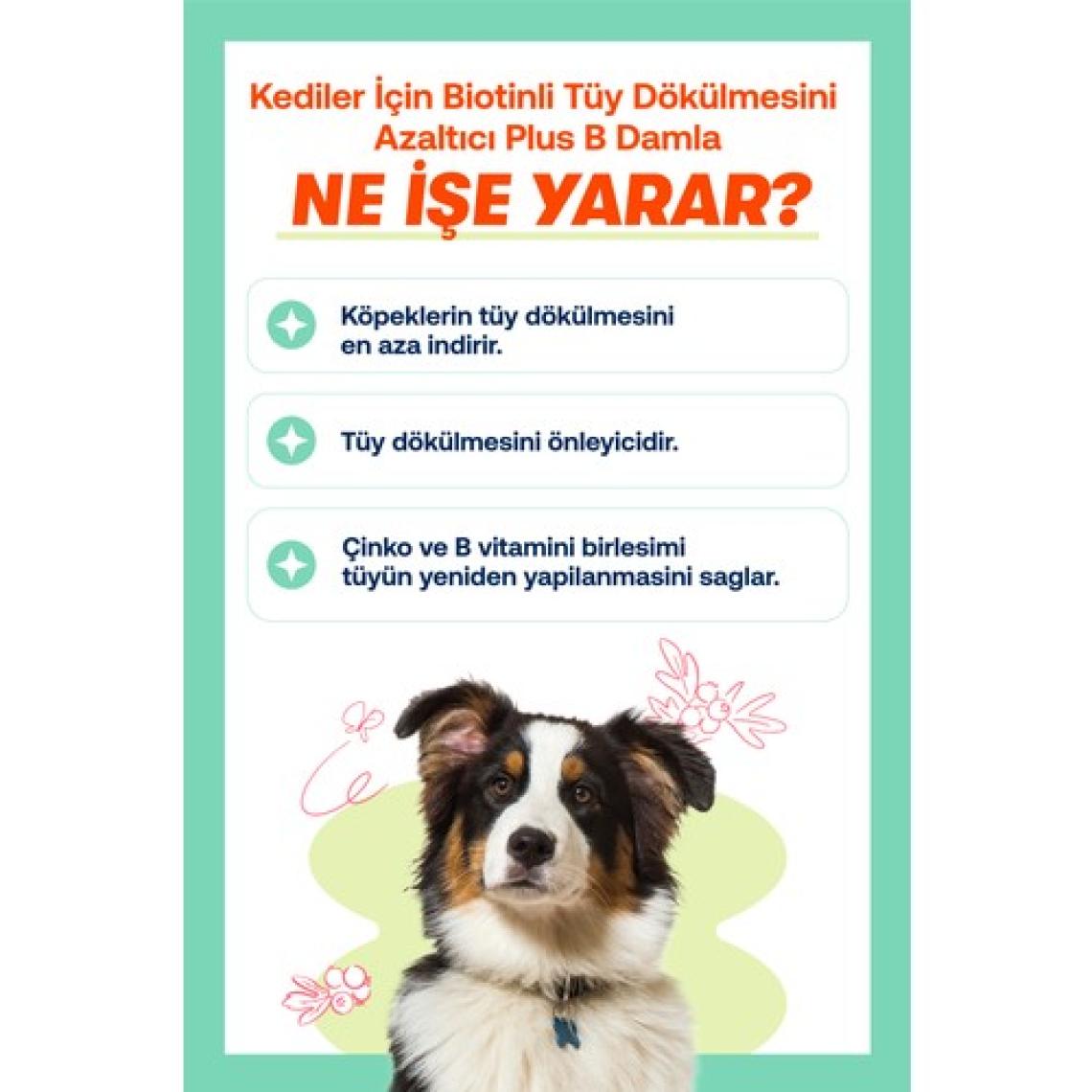 Biofeline Fish Oil & Plus+B For Dogs
