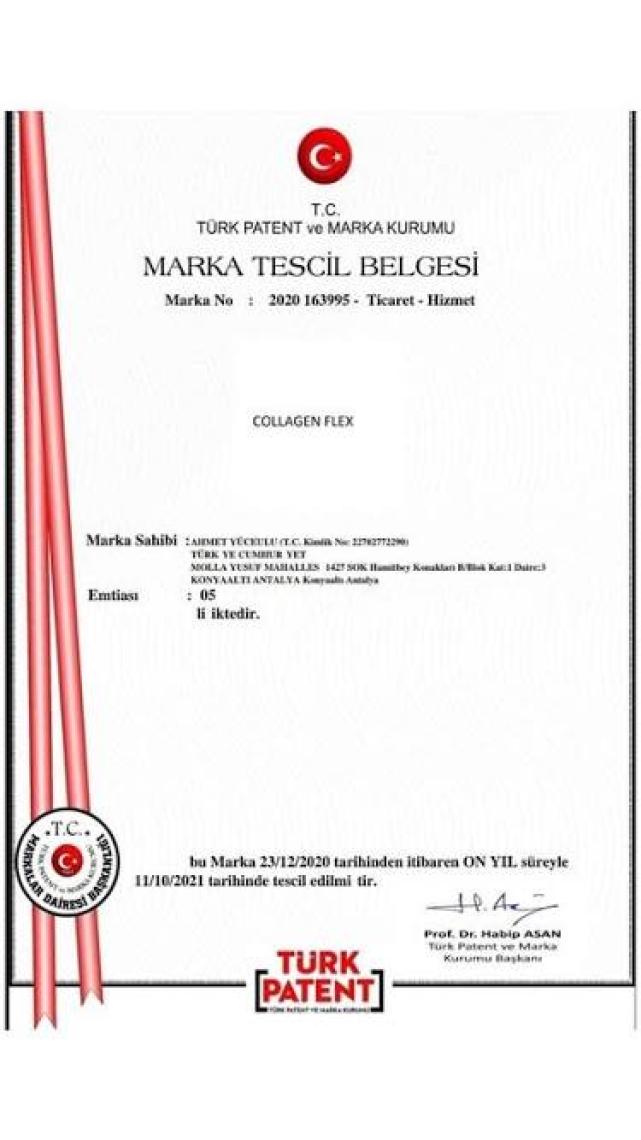 Collagen Flex Ileri Düzey Köpek Gelişim Seti