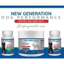 Collagen Flex Ileri Düzey Köpek Gelişim Seti