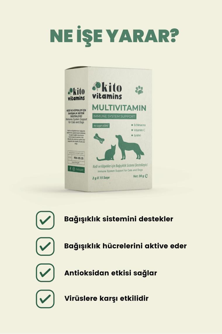 Kito Multivitamin 2g x 15 Saşe