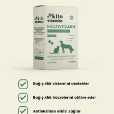Kito Multivitamin 2g x 15 Saşe