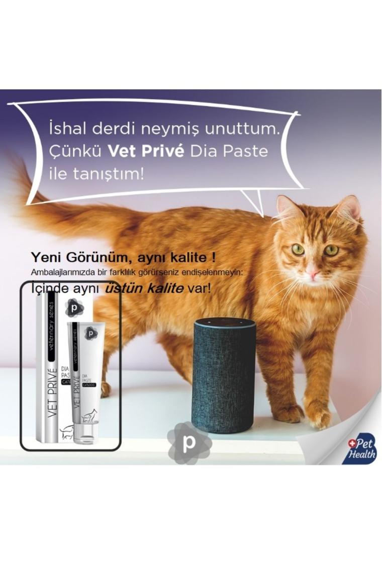 Vet Prive Dia Paste / Kedi Ve Köpekler Için Sindirim Sistemi Desteği Pasta