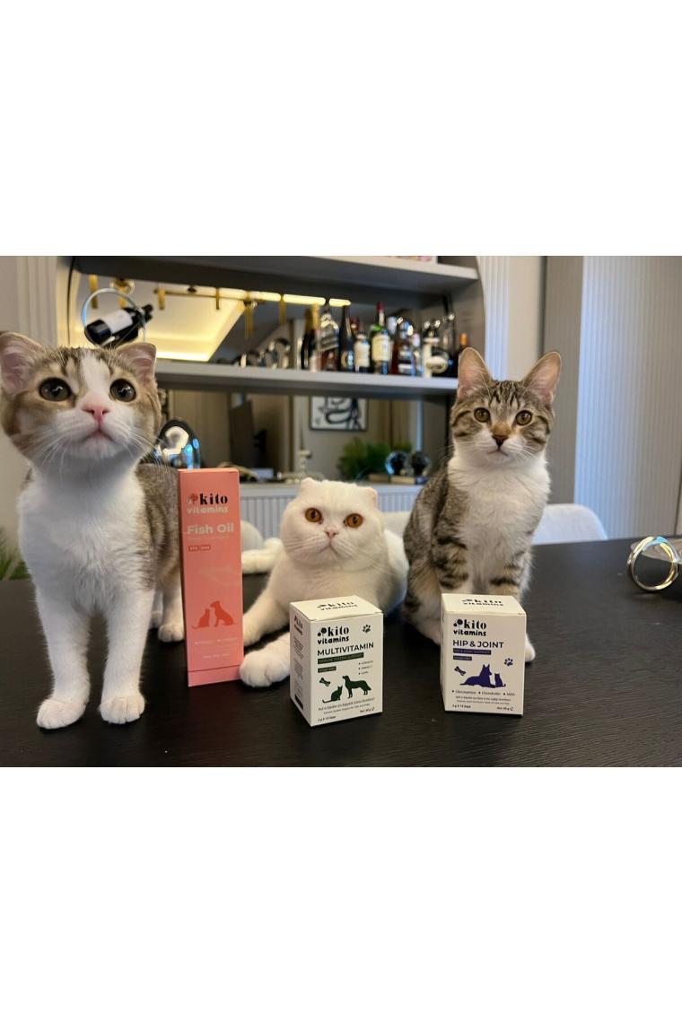 Premium Balık Yağı 200 ml (KEDİ VE KÖPEKLER İÇİN OMEGA 3 & 6 İÇERİKLİ BALIK YAĞI)