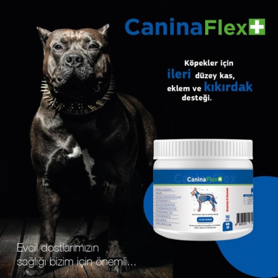 Canina Flex Collagen Glukozamin 2 Adet Köpekler Için Yeni Nesil Kemik Kas Eklem ve Kıkırdak Desteği.