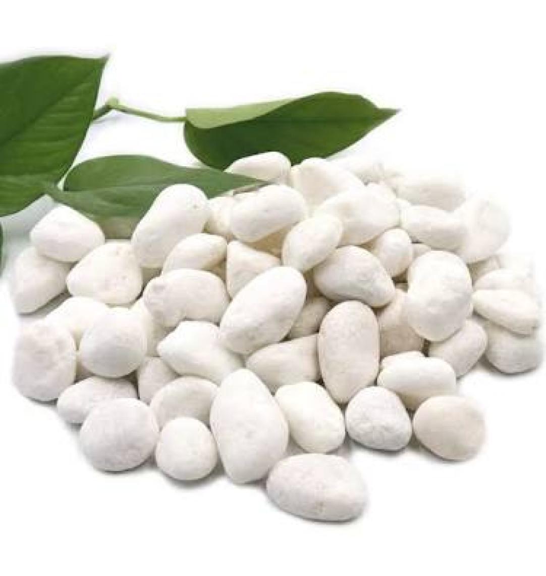 Alyones 1 kg Dolomit Taş 1 2 cm Akvaryum Taşı Çakıl Taşı Bahçe Saksı Taşı Dere Taşı