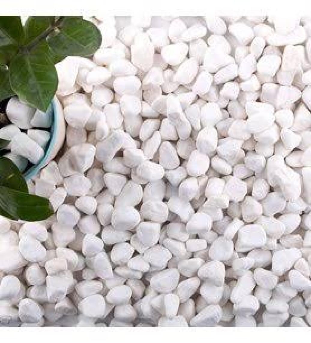 Alyones 1 kg Dolomit Taş 1 2 cm Akvaryum Taşı Çakıl Taşı Bahçe Saksı Taşı Dere Taşı