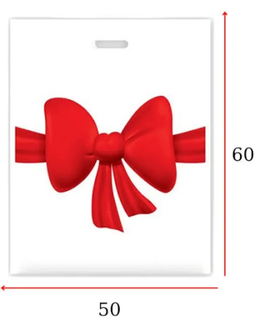 Naksan EL GEÇME TAKVİYELİ POŞET ÇOK RENKLİ 50X60 NO:5 50 ADET NAKSAN