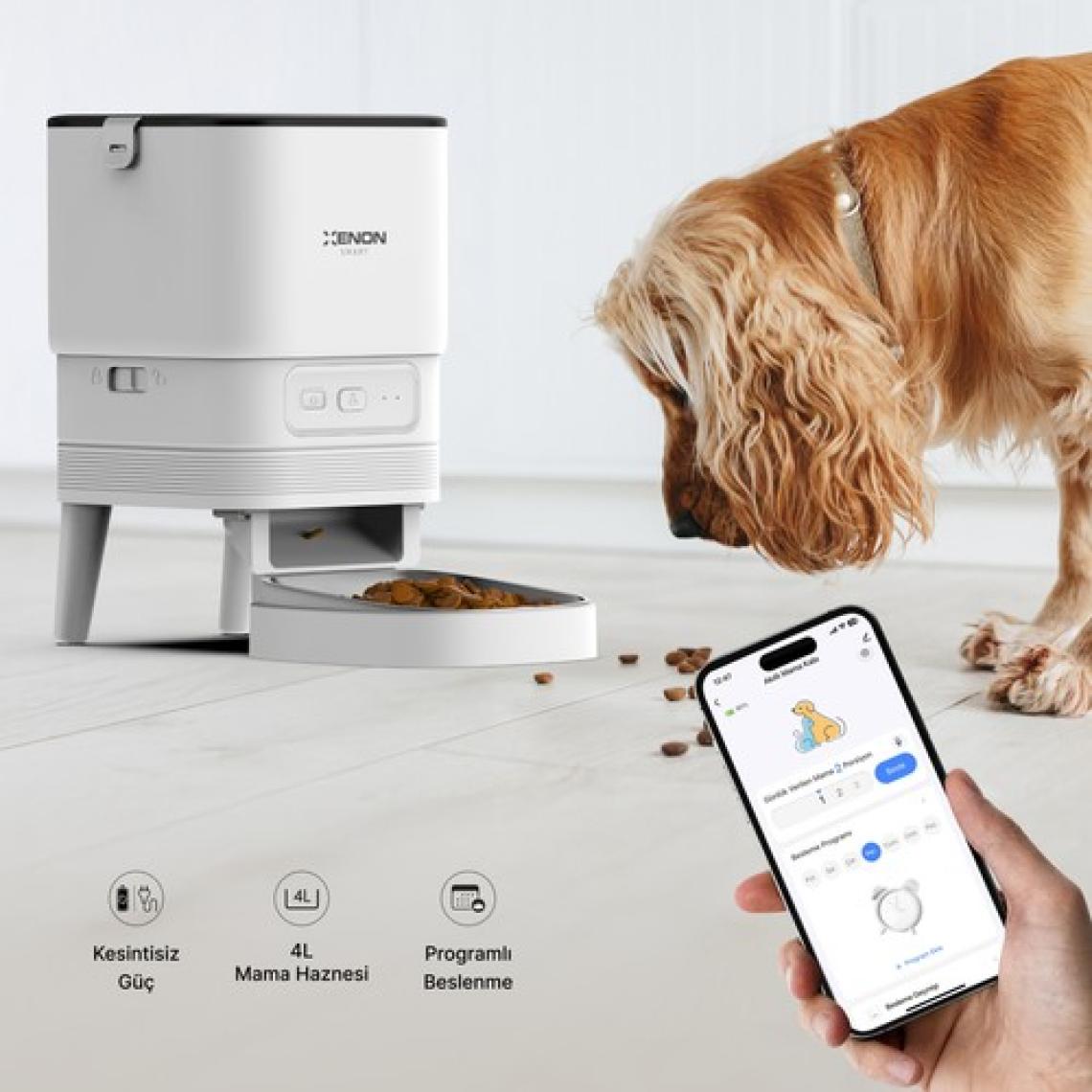 Xenon Smart Akıllı Otomatik Kedi Tuvaleti Paslanmaz Çelik Kaseli Mama Kabı Ultra Sessiz LED Işıklı Su Pınarı ve Filtre 4'lü Pet Seti