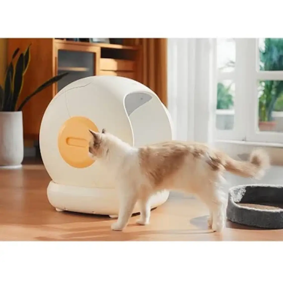 UBPet Ucat C20 Akıllı Otomatik Kedi Tuvaleti