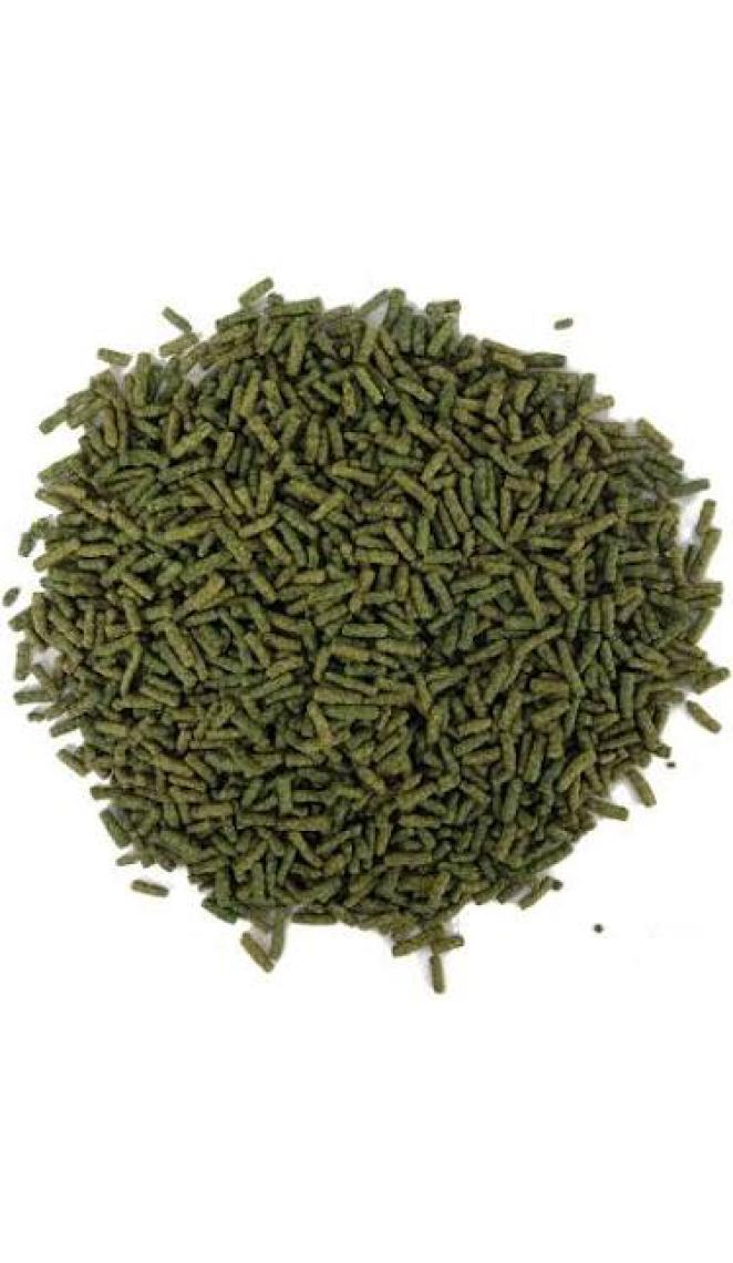 Amore Turtle Green Sticks 125 + 250 ml Bonisa Su Kaplumbağası Yemi ve Multivitamin