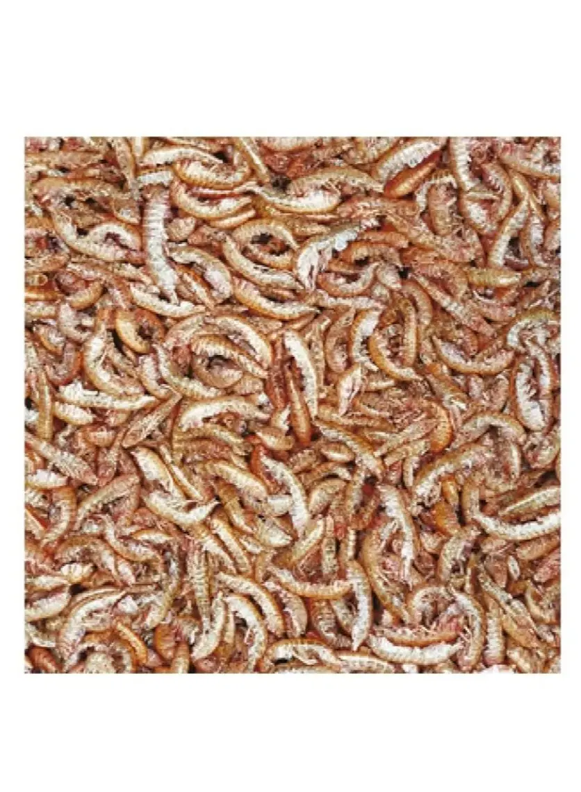 Tropical Gammarus Kaplumbağa Yemi 250 Ml