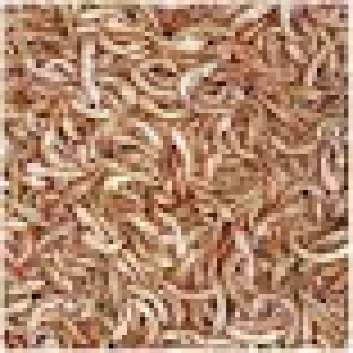Tropical Gammarus Kaplumbağa Yemi 250 Ml