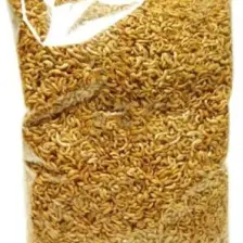 Maxisol Kurutulmuş Karides Gammarus