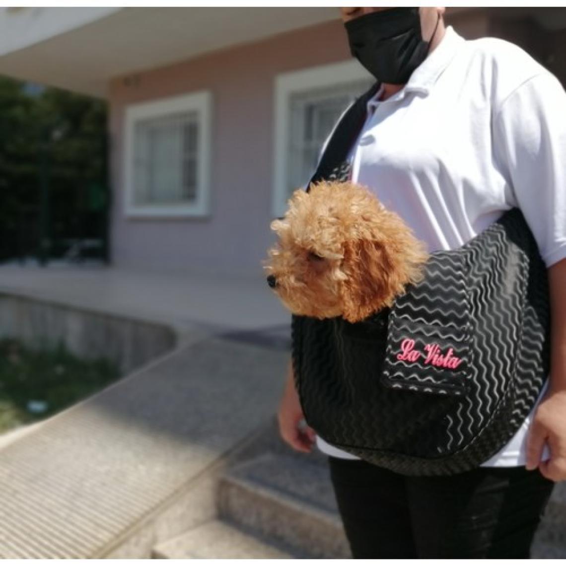 La Vista  Pet Taşıma Çsntası Leydim Siyah
