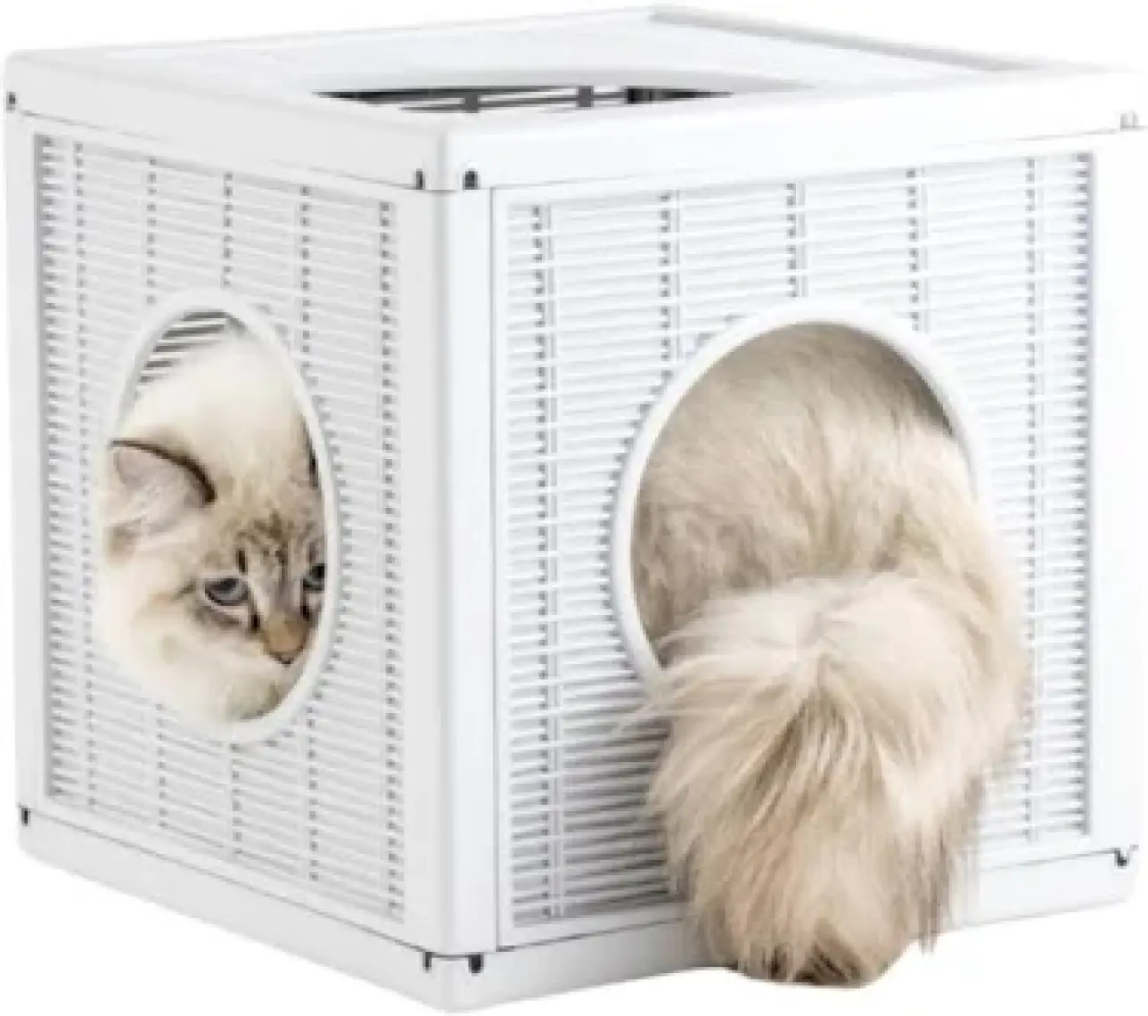 Bama Qublo Kedi Evi Oyuncağı Kutusu Oyunu
