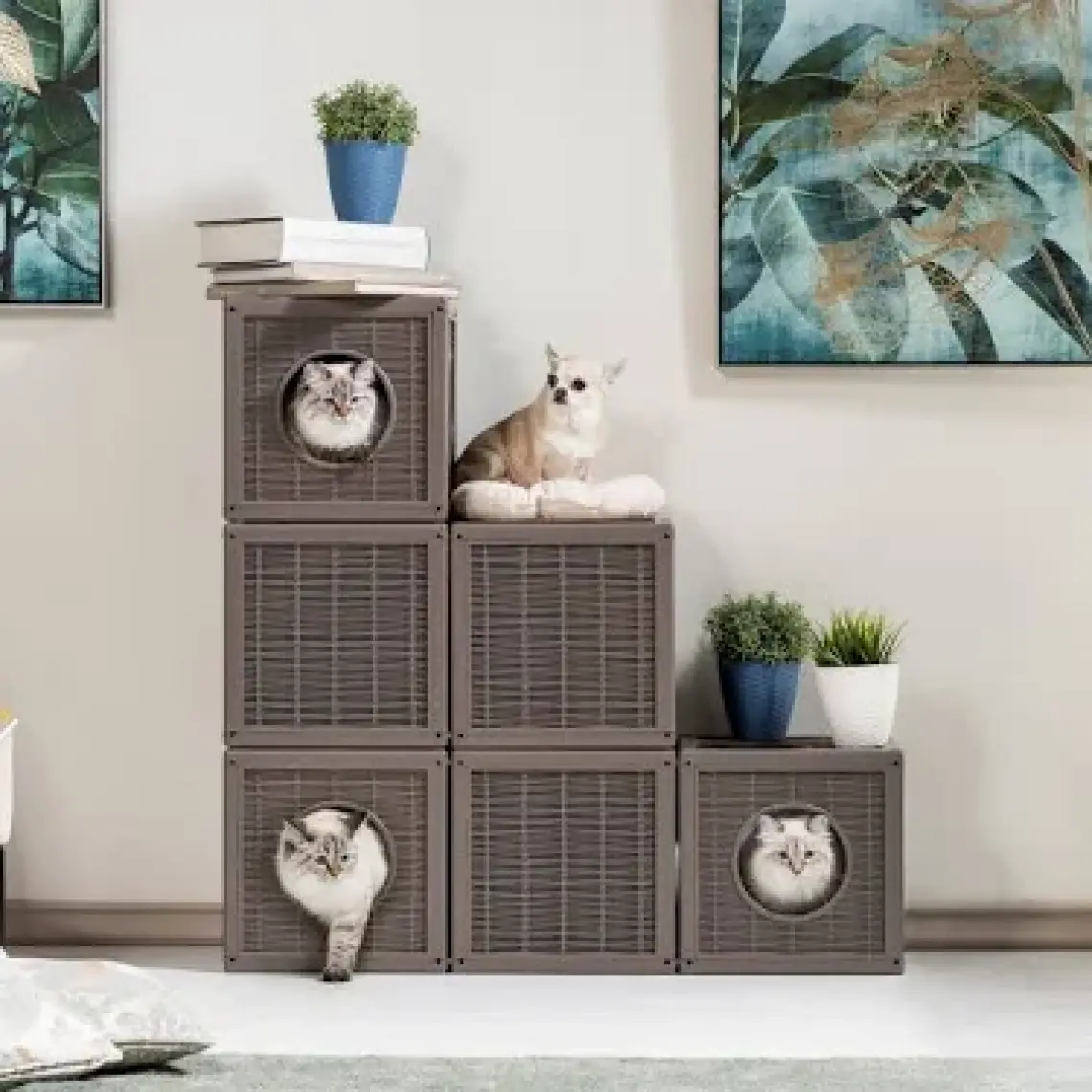 Bama Qublo Kedi Evi Oyuncağı Kutusu Oyunu