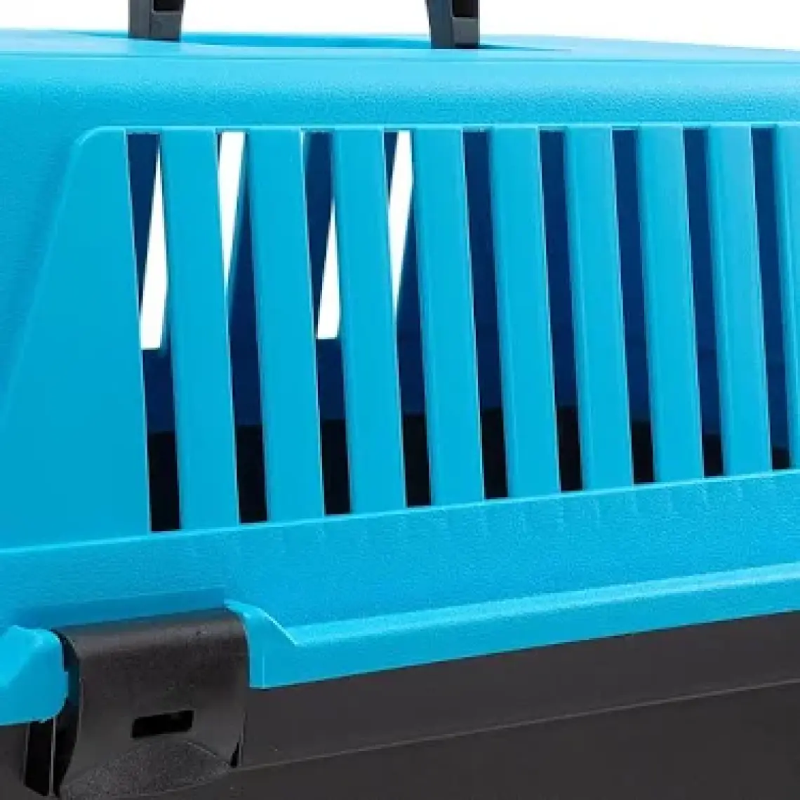 Ferplast Atlas 10 Taşıma Kutusu Azzurro