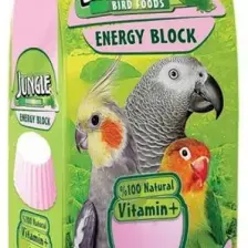 Jungle Enerji Blok Büyük