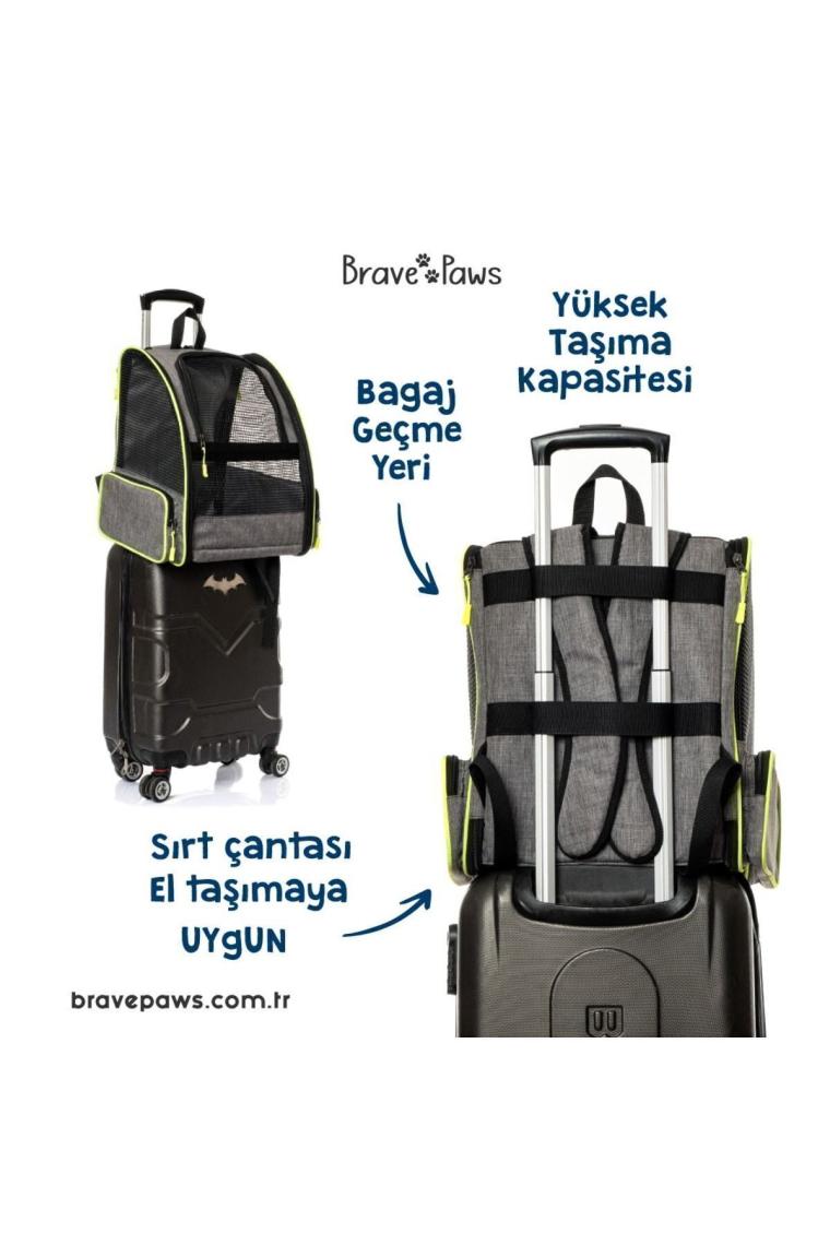 Brave Paws Kedi Köpek Çantası Yıkanabilir ve Hava Alan Piramit Model