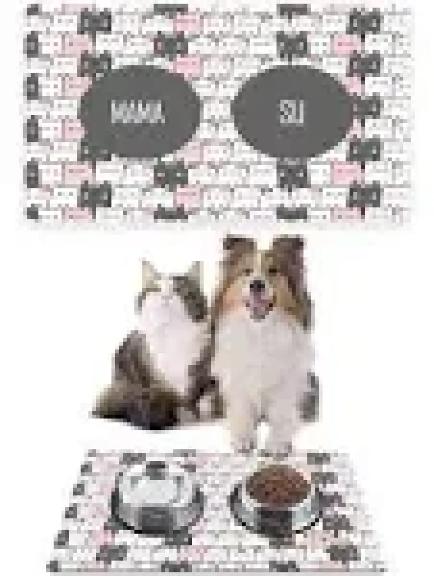 PatiPeti Renkli Sevimli Kediler Kedi Köpek Mama Altlığı Mama Paspası 50X35CM