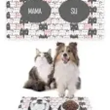 PatiPeti Renkli Sevimli Kediler Kedi Köpek Mama Altlığı Mama Paspası 50X35CM