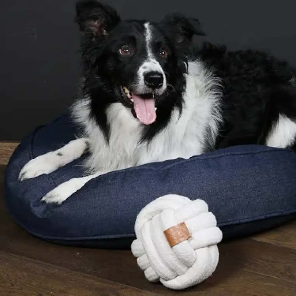 Duvo+ Skip Ball Küçük Köpek Için Ip Top