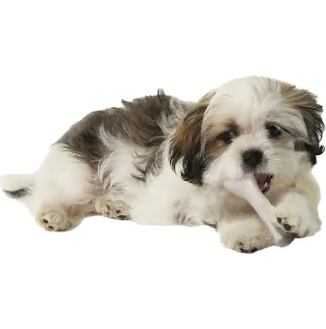 Petstages Deerhorn Antler Alternative Dog Chew Toy Köpek Çiğneme Oyuncağı - Large - 670