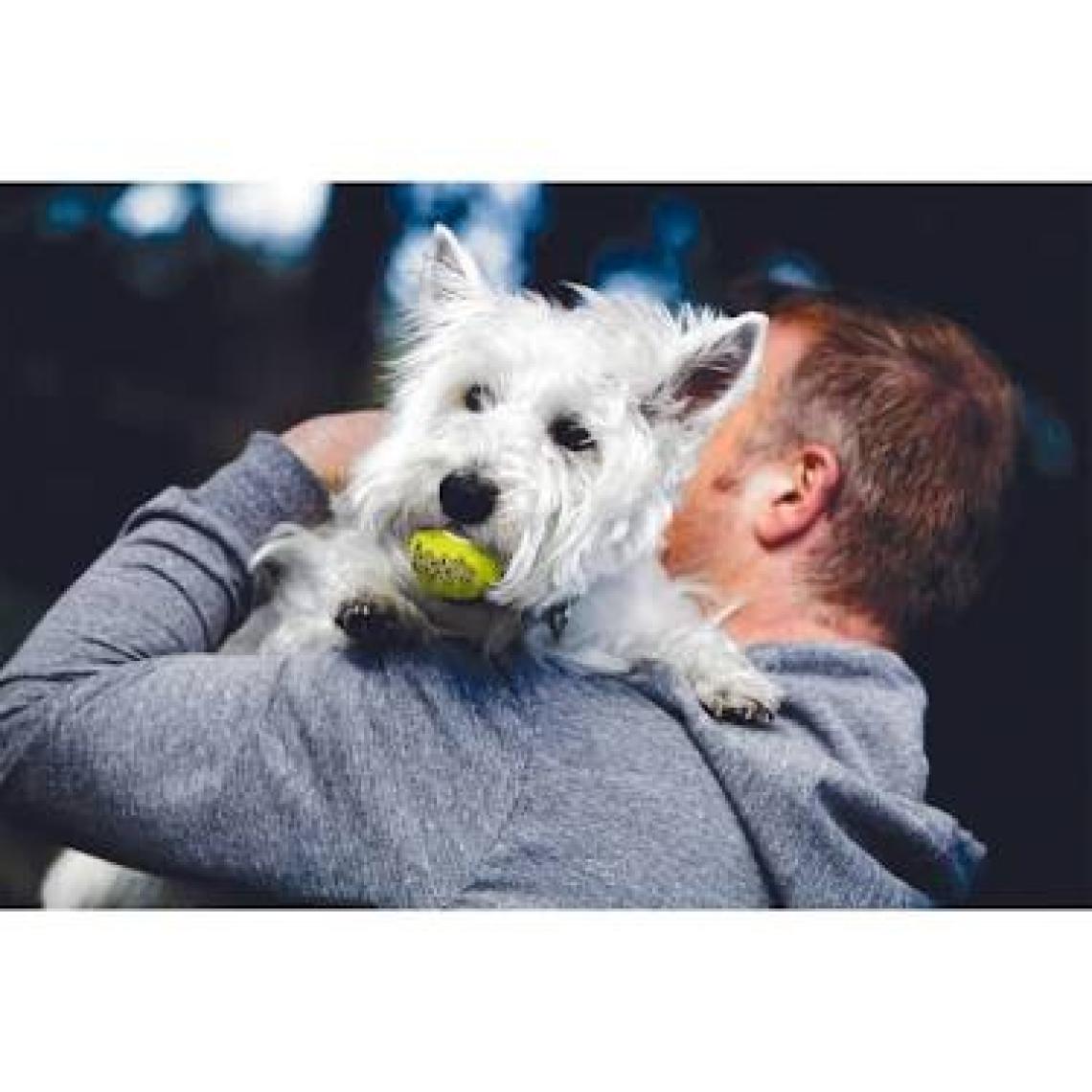 Kong Köpek Air Sq Sesli Tenis Topu S 3 Adet 5Cm