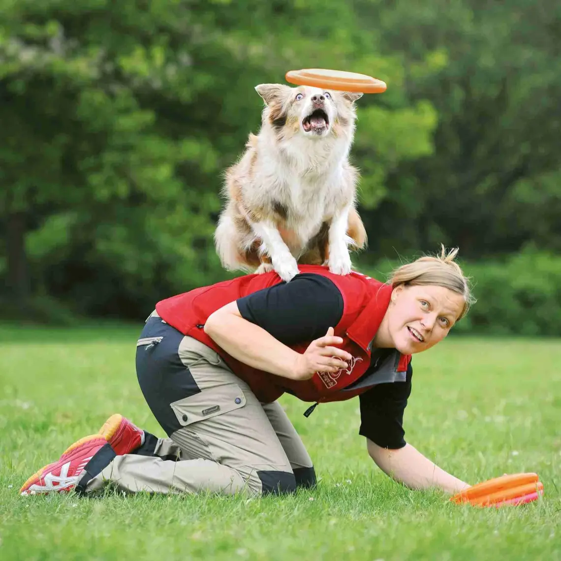 Trixie Köpek Agility Frizbi  19cm