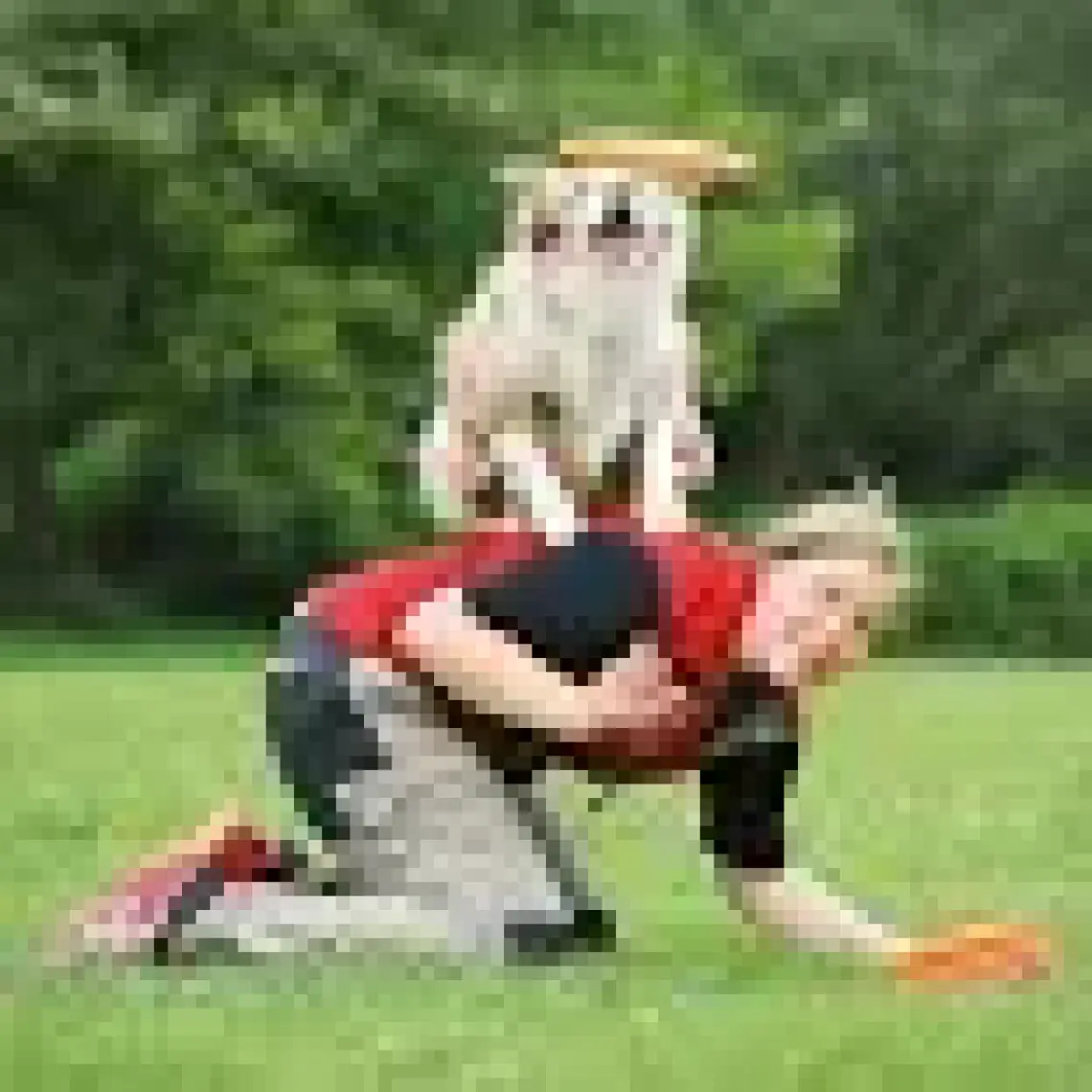 Trixie Köpek Agility Frizbi  19cm