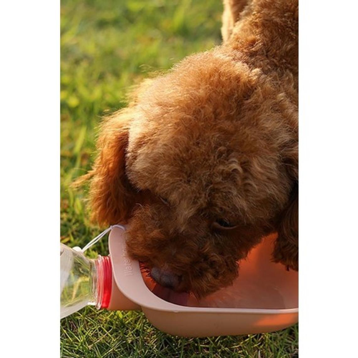 3 Adet Evcil Hayvan Kedi Köpek Suluğu Seyahat Su Şişesi Kasesi Pet Şişe Bağlantılı Kabı 3 Adet